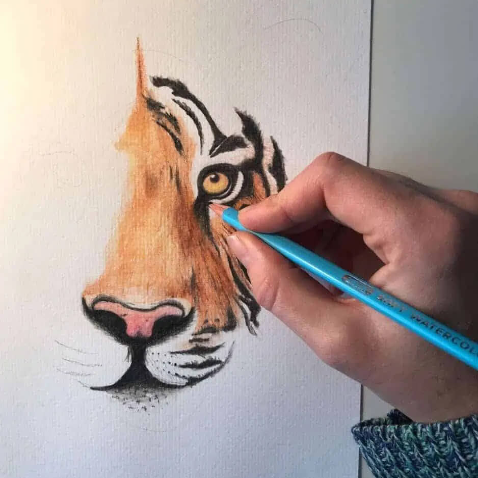 Set schite si desen ZIELER Artist Sketching and Colouring, 36 piese/cutie lemn